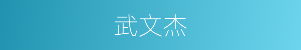武文杰的同义词