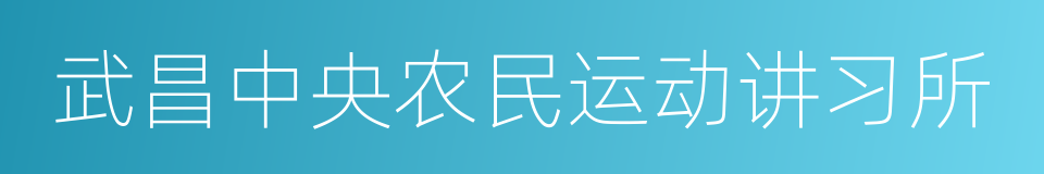 武昌中央农民运动讲习所的同义词