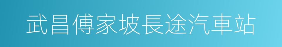 武昌傅家坡長途汽車站的同義詞