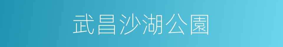 武昌沙湖公園的同義詞