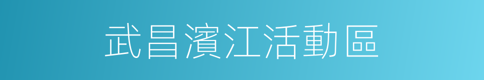武昌濱江活動區的同義詞