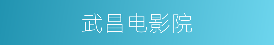 武昌电影院的同义词