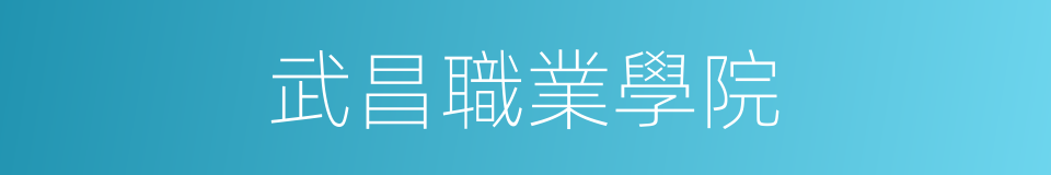 武昌職業學院的同義詞