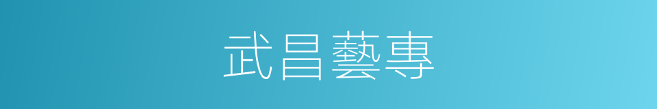 武昌藝專的同義詞