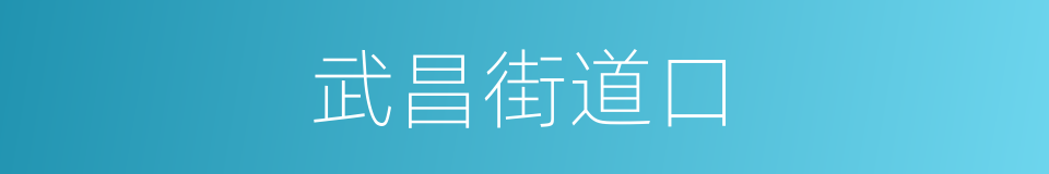武昌街道口的同义词