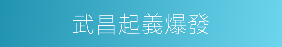 武昌起義爆發的同義詞