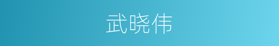 武晓伟的同义词