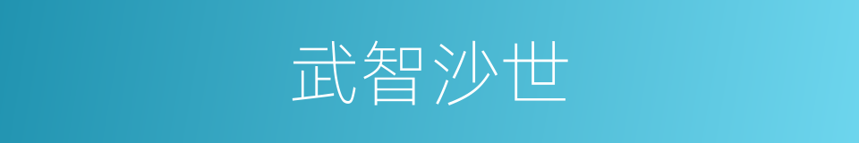武智沙世的同义词