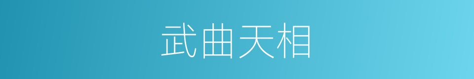 武曲天相的同义词