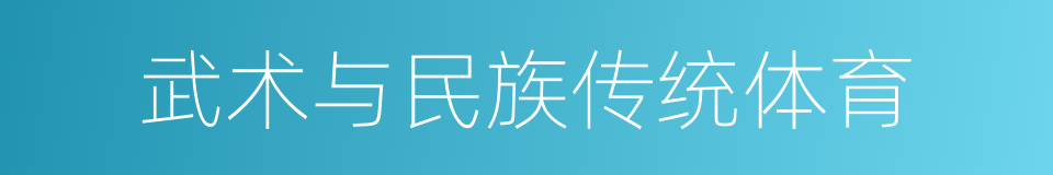 武术与民族传统体育的同义词