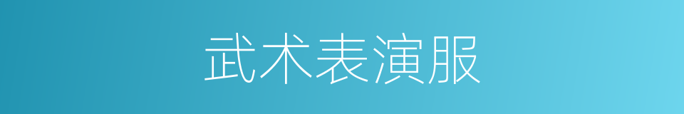 武术表演服的同义词