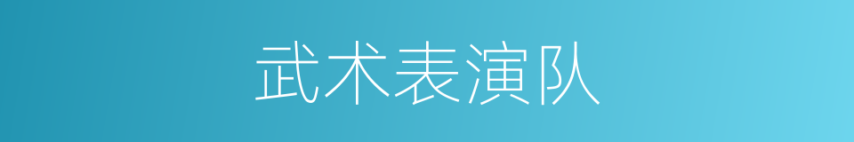 武术表演队的同义词