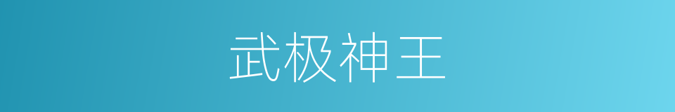 武极神王的同义词