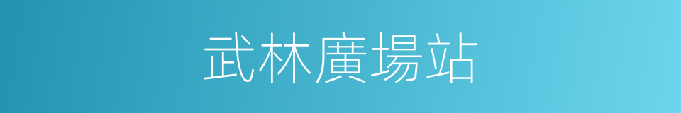 武林廣場站的同義詞