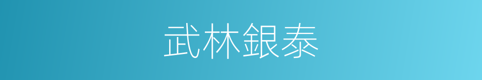 武林銀泰的同義詞