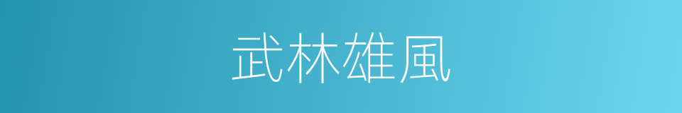 武林雄風的同義詞