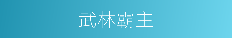 武林霸主的同义词