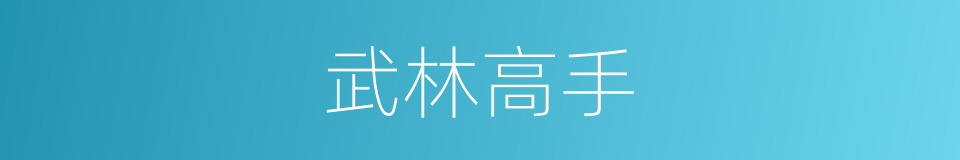 武林高手的意思