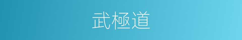 武極道的同義詞