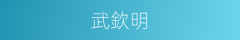 武欽明的同義詞