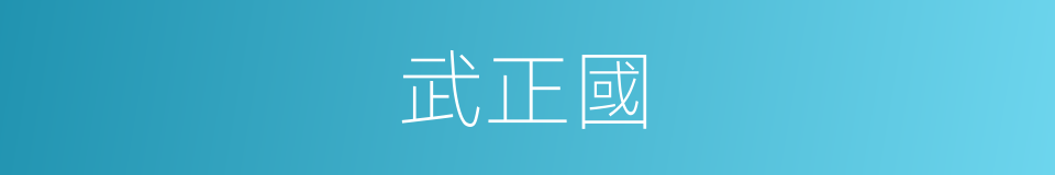 武正國的同義詞