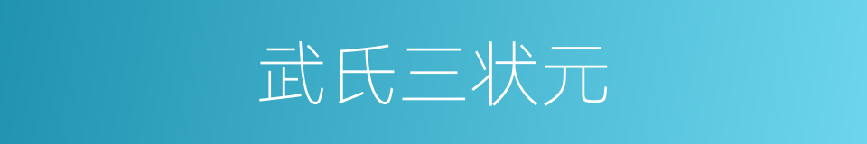 武氏三状元的同义词