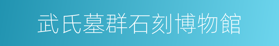 武氏墓群石刻博物館的同義詞