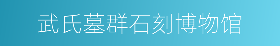 武氏墓群石刻博物馆的同义词