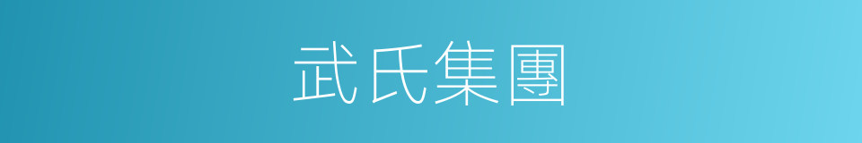 武氏集團的同義詞