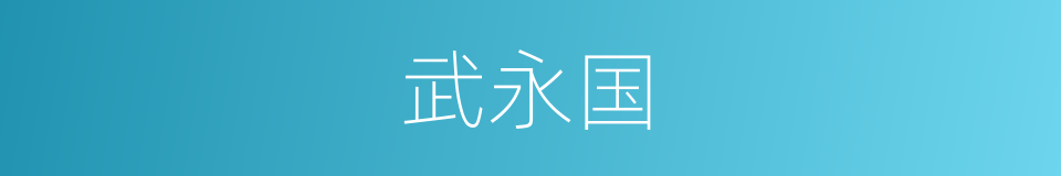 武永国的同义词