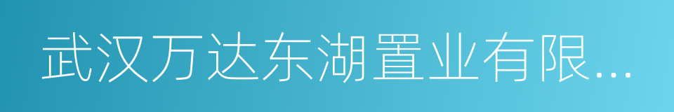 武汉万达东湖置业有限公司的同义词