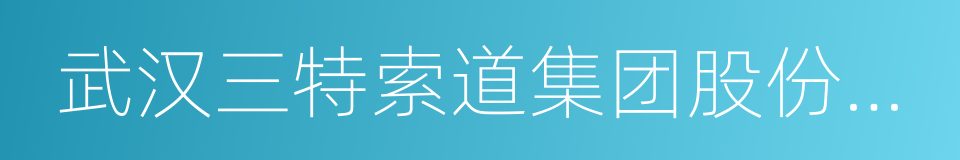 武汉三特索道集团股份有限公司的同义词