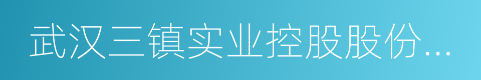 武汉三镇实业控股股份有限公司的同义词