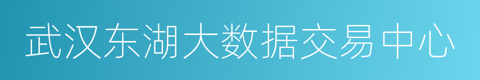 武汉东湖大数据交易中心的同义词