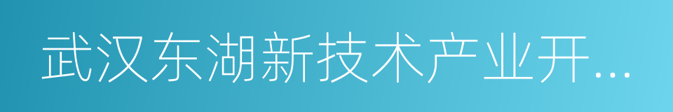 武汉东湖新技术产业开发区的同义词