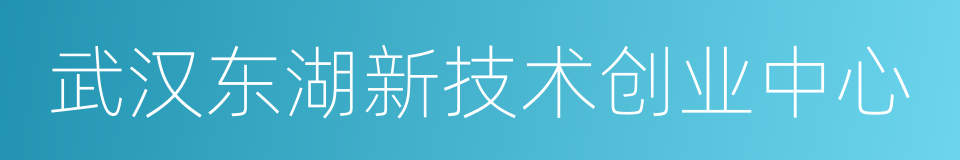 武汉东湖新技术创业中心的同义词