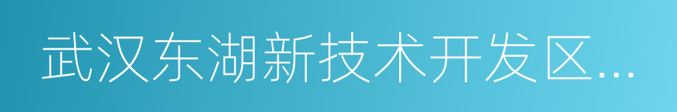 武汉东湖新技术开发区管委会的同义词