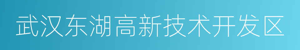 武汉东湖高新技术开发区的同义词