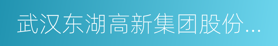 武汉东湖高新集团股份有限公司的同义词