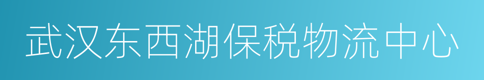 武汉东西湖保税物流中心的同义词