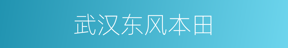 武汉东风本田的同义词