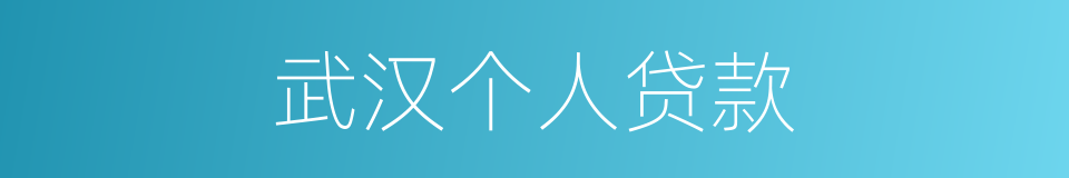 武汉个人贷款的同义词