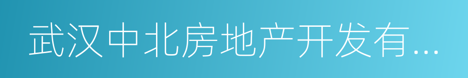 武汉中北房地产开发有限公司的同义词