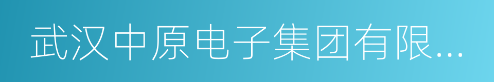 武汉中原电子集团有限公司的同义词