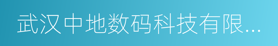 武汉中地数码科技有限公司的同义词