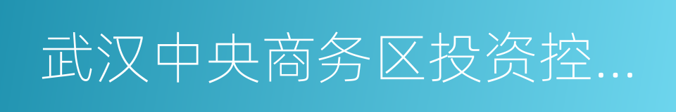 武汉中央商务区投资控股集团有限公司的同义词