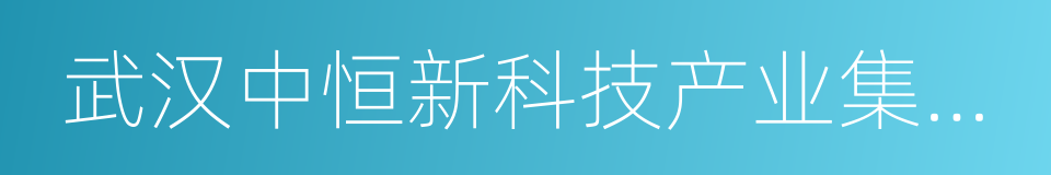 武汉中恒新科技产业集团有限公司的同义词