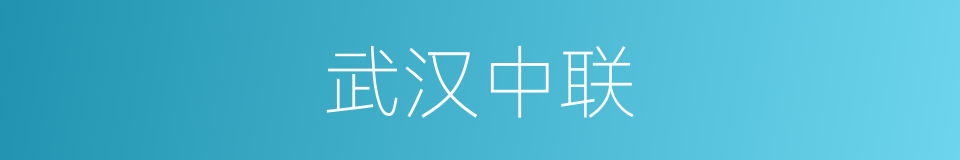 武汉中联的同义词