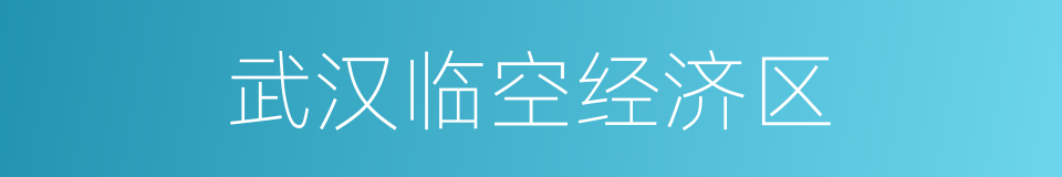 武汉临空经济区的同义词