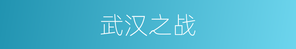 武汉之战的同义词